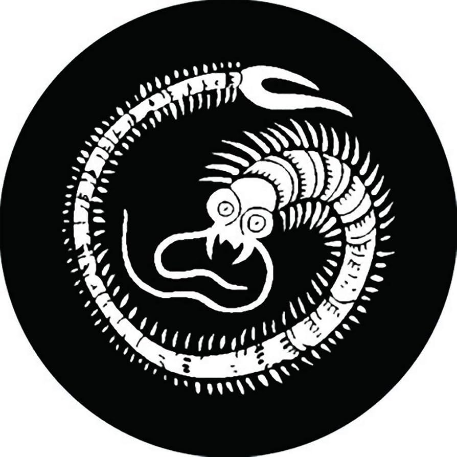 家紋 Amazon.co.jp: 家紋シール 大久保忠世 大久保藤 24cm x 24cm